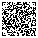 QR код "Рио"
