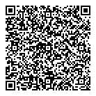 QR код "Аэлита"