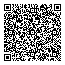 QR код "Flash"