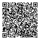 QR код "Сатурн"