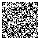 QR код "Дареный конь"