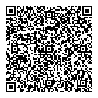 QR код "Звёздный"