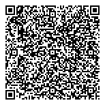 QR код "Молнии"