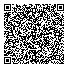 QR код "Галактика"