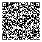 QR код "DNS"