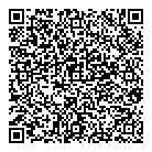 QR код "Звездный"