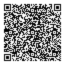 QR код "Tesla"