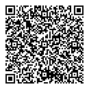 QR код "Мастер Ли"