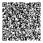 QR код "Detroid"