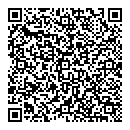 QR код "Пчелка"