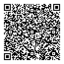 QR код "Починкин"