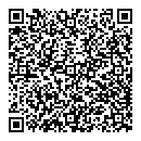 QR код "Шарик"