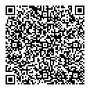 QR код "Диско"