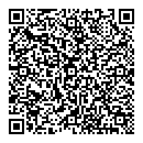 QR код "Домино"