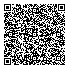QR код "Звездный"