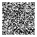 QR код "Слон"