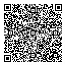 QR код "Лепешка"