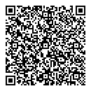 QR код "Метлон"