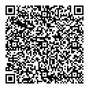 QR код "Ёшкин кот"