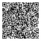 QR код "ДНС"