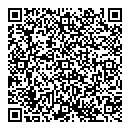 QR код "Galaxy"