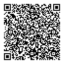 QR код "Плазма"