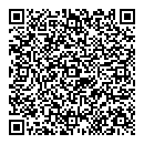 QR код "Цеппелин"