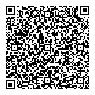 QR код "ДИКСИ"
