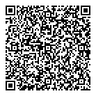 QR код "Домино"