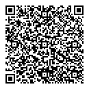 QR код "Сияние"