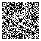 QR код "ДИКСИ"
