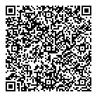 QR код "Гейзер"