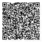 QR код "Спутник"