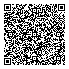 QR код "Evolution"