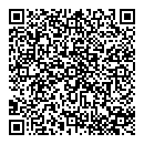 QR код "Камея"