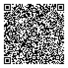 QR код "Профессионал"