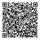QR код "Викинг"