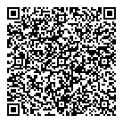 QR код "Метеор"
