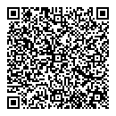 QR код "Диско"