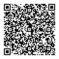 QR код "Блик"