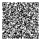 QR код "Доминго"