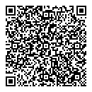 QR код "Игрушка"