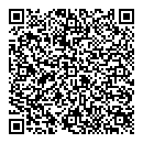 QR код "Глобус"