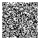 QR код "Камелот"