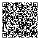 QR код "Дамбо"