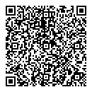 QR код "Мир"