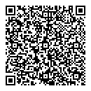 QR код "Домино"