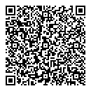 QR код "Домино"