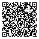 QR код "Мост"