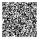 QR код "Дэнико"